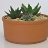 Terra Cotta Clay Flower Bowl