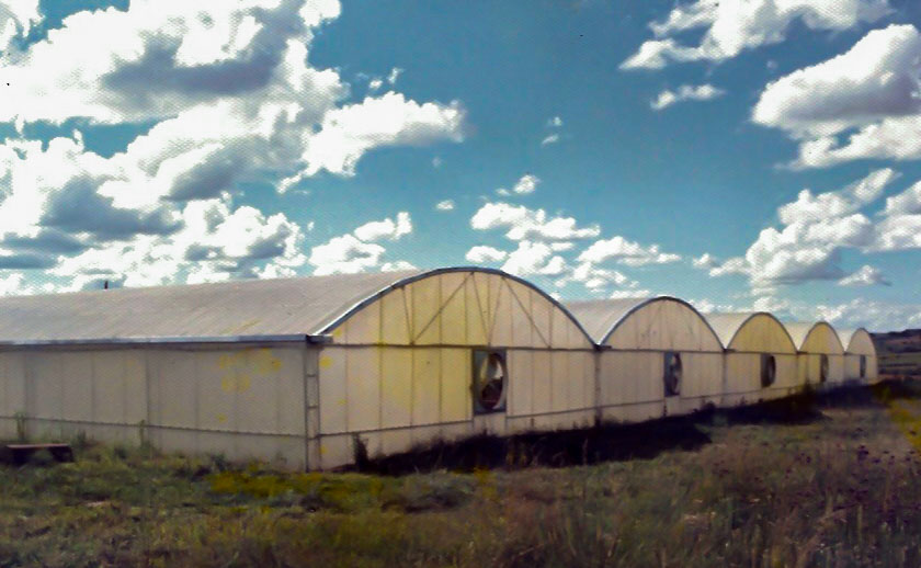 First Greenhouse Completed