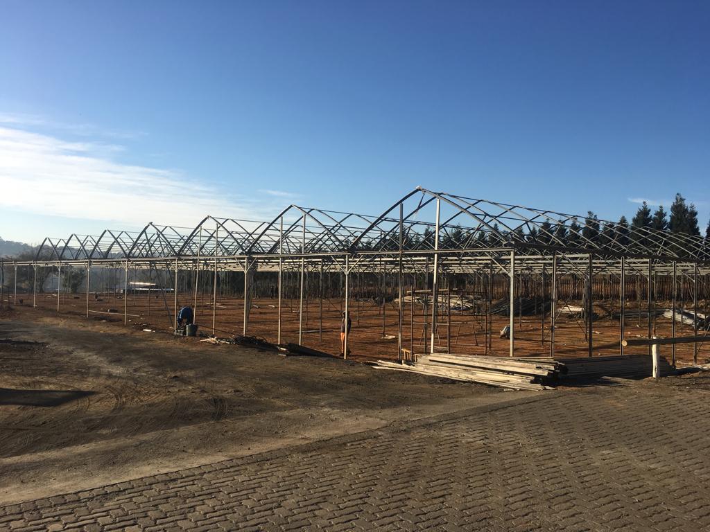 New Greenhouse